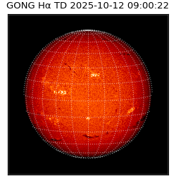 gong - 2025-10-12T09:00:22