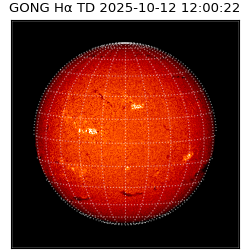 gong - 2025-10-12T12:00:22