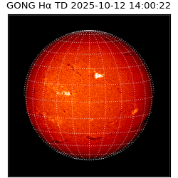 gong - 2025-10-12T14:00:22