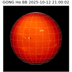 gong - 2025-10-12T21:00:02