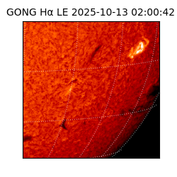 gong - 2025-10-13T02:00:42