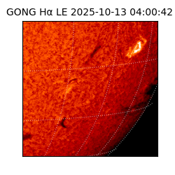 gong - 2025-10-13T04:00:42