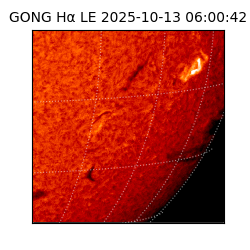 gong - 2025-10-13T06:00:42