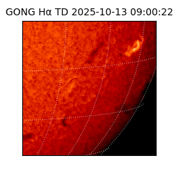 gong - 2025-10-13T09:00:22