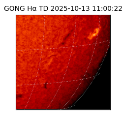 gong - 2025-10-13T11:00:22