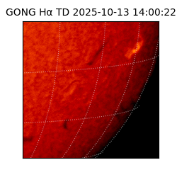 gong - 2025-10-13T14:00:22