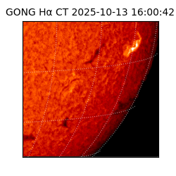 gong - 2025-10-13T16:00:42