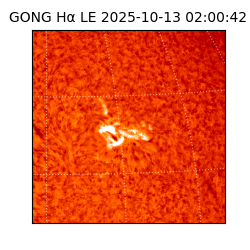 gong - 2025-10-13T02:00:42