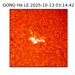 gong - 2025-10-13T03:14:42