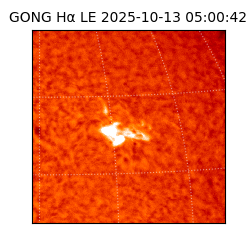 gong - 2025-10-13T05:00:42