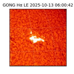 gong - 2025-10-13T06:00:42