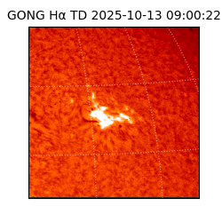 gong - 2025-10-13T09:00:22