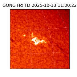 gong - 2025-10-13T11:00:22