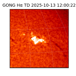 gong - 2025-10-13T12:00:22