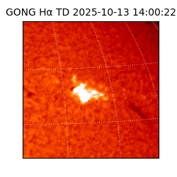 gong - 2025-10-13T14:00:22