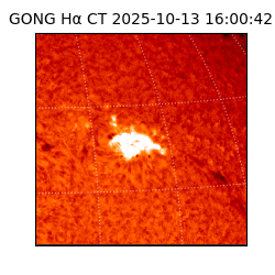 gong - 2025-10-13T16:00:42