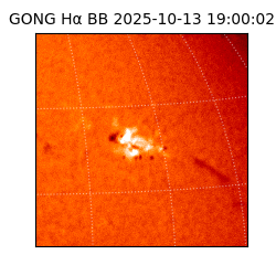 gong - 2025-10-13T19:00:02