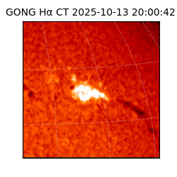 gong - 2025-10-13T20:00:42