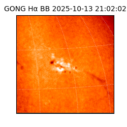 gong - 2025-10-13T21:02:02