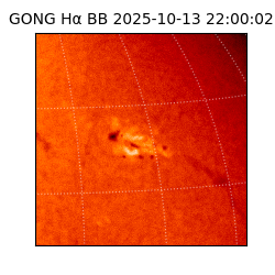 gong - 2025-10-13T22:00:02