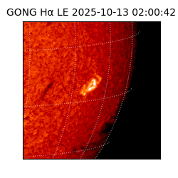 gong - 2025-10-13T02:00:42