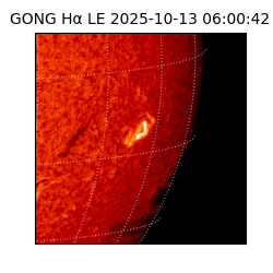 gong - 2025-10-13T06:00:42