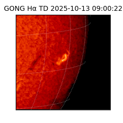 gong - 2025-10-13T09:00:22