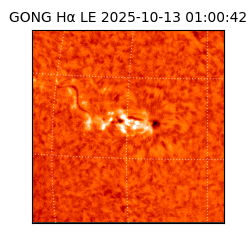 gong - 2025-10-13T01:00:42