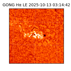 gong - 2025-10-13T03:14:42