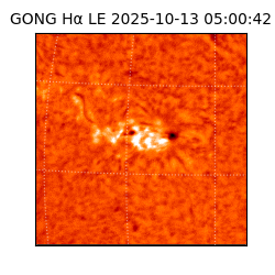 gong - 2025-10-13T05:00:42