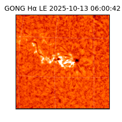 gong - 2025-10-13T06:00:42