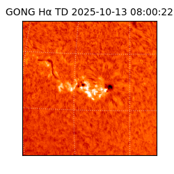 gong - 2025-10-13T08:00:22