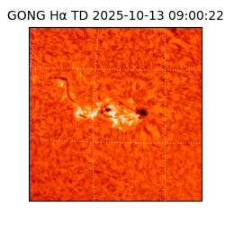 gong - 2025-10-13T09:00:22