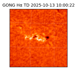 gong - 2025-10-13T10:00:22