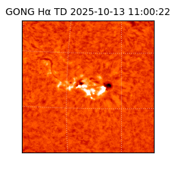 gong - 2025-10-13T11:00:22