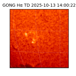 gong - 2025-10-13T14:00:22