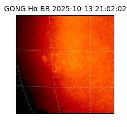 gong - 2025-10-13T21:02:02