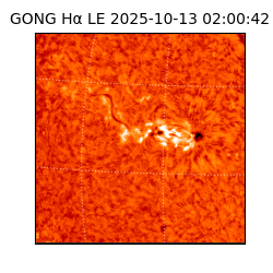 gong - 2025-10-13T02:00:42