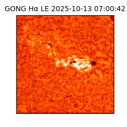 gong - 2025-10-13T07:00:42