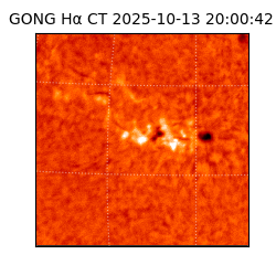 gong - 2025-10-13T20:00:42