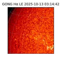 gong - 2025-10-13T03:14:42