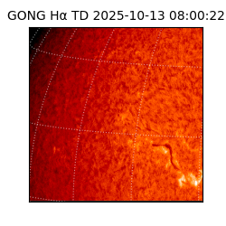 gong - 2025-10-13T08:00:22