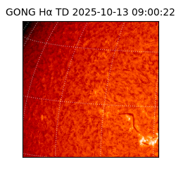 gong - 2025-10-13T09:00:22