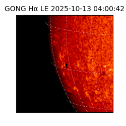 gong - 2025-10-13T04:00:42