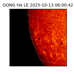 gong - 2025-10-13T06:00:42