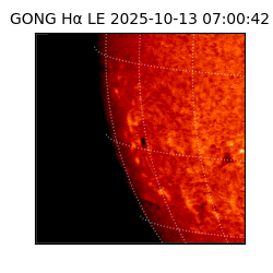 gong - 2025-10-13T07:00:42
