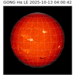 gong - 2025-10-13T04:00:42