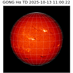 gong - 2025-10-13T11:00:22