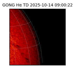 gong - 2025-10-14T09:00:22