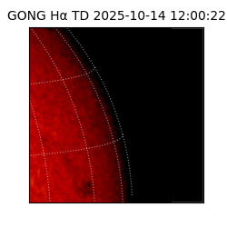 gong - 2025-10-14T12:00:22